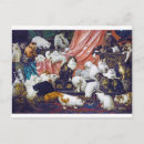 Search for pets postcards Kitty