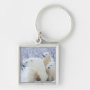 Search for carnivore key rings Arctic
