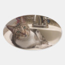 Search for cat bath stickers Kitty