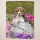 Search for beagle blankets Animal