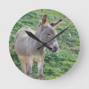Search for donkey clocks Pets