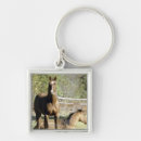 Search for pastural key rings Outdoors