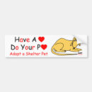 Search for adopt a pet bumper stickers Rescue dog
