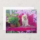 Search for garden benches postcards Charming