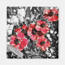 Search for beautiful blossom magnets Flower