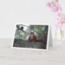 Search for squirrel mothers day cards Animal