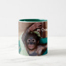 Search for orangutan baby mugs Orangutans