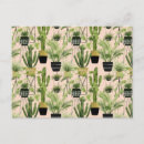 Search for oasis postcards House plant