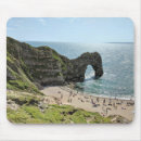 Search for sea mouse mats Nature