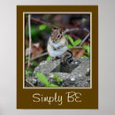 Search for simply posters Animals