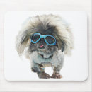 Search for rockstar electronics Animal