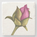 Search for bud coasters Pink rose