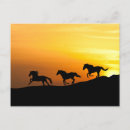 Search for equestrian birthday cards Rodeo