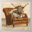 Search for longhorn cattle posters Cow