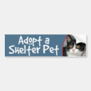 Search for black and white cat bumper stickers Pet