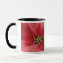 Search for poinsettia mugs Celebration