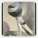 Search for crt stickers Bird