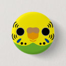 Search for parrot bird badges Budgerigar