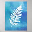 Search for blue ferns posters Plants