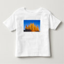 Search for cathedrals tshirts Italy