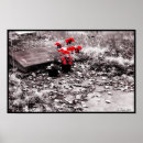 Search for graveyard art Cemetery