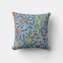 Search for fruit cushions Pattern