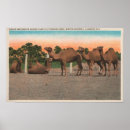 Search for ringling posters Florida