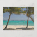 Search for windsurfing postcards Caribbean