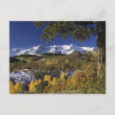 Search for fallcolors Rocky mountains