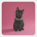 Search for black kitten stickers Cat