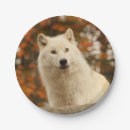 Search for wolf plates Cub