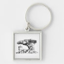 Search for summit key rings Mountains