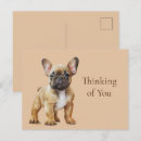 Search for frenchie postcards Cute