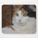Search for long standard mouse mats Pets