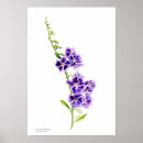 Search for sarah art Flowers
