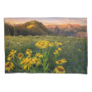Search for colorado pillowcases Nature