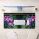Search for butterfly electronics Wildlife
