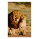 Search for namibia art Lion