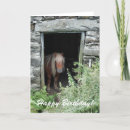 Search for cute pony cards Ponies