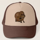 Search for creative design hats Cute