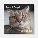 Search for feed magnets Reminder