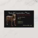 Search for pitbull business cards Pet