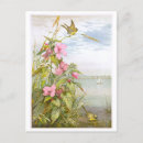 Search for marsh postcards Vintage