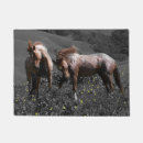 Search for fighting photography Horses