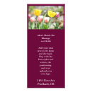 Search for yellow rack cards Spa