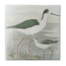 Search for neck tiles Nature