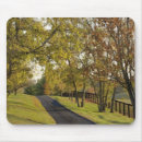 Search for bluegrass mouse mats Kentucky