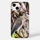 Search for avians iphone cases Wildlife