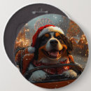 Search for roller coaster badges Fun