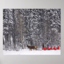 Search for snow covered trees posters Park